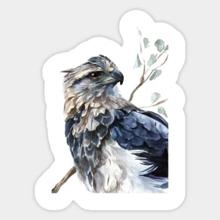 Eagle Sticker